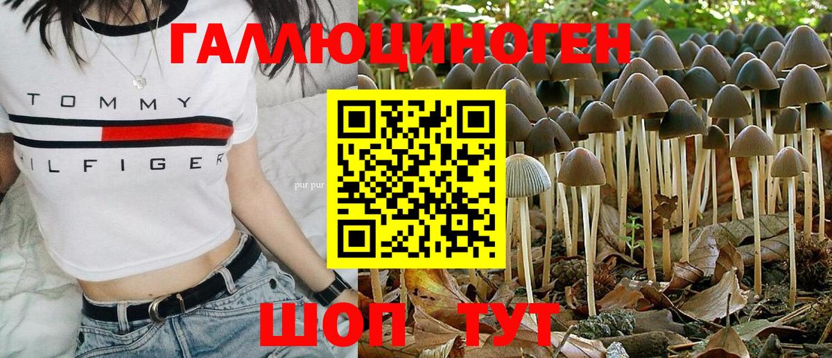 Псилоцибиновые грибы GOLDEN TEACHER Миллерово