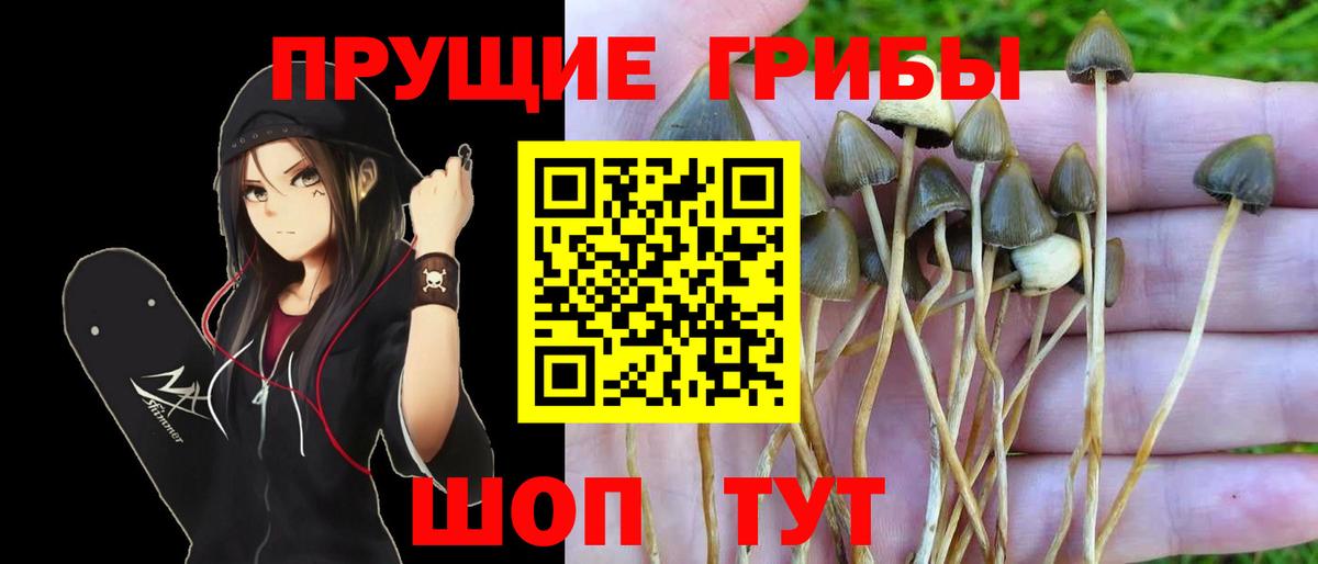 Галлюциногенные грибы Magic Shrooms  наркота  Миллерово  Вход с VPN  Псилоцибиновые грибы мухоморы 
